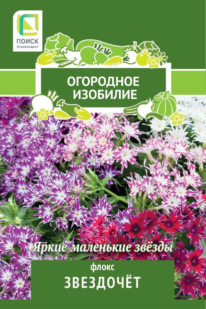 Флокс Звездочет семена