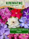 Клематис в ассортименте Клематис в ассортименте