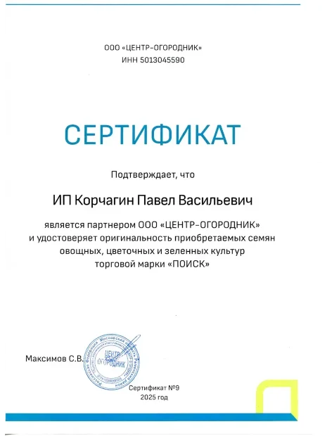 Укроп Аллигатор семена 