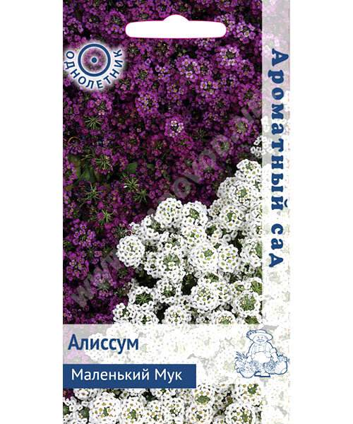 Алиссум Маленький Мук семена