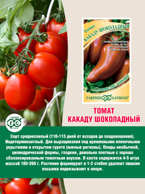 Томат Какаду шоколадный семена 